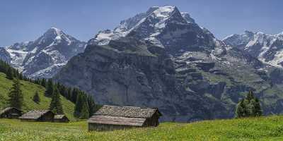 Almendhubel Muerren Eiger Moench Jungfrau Flower Snow Alps Stock Photos Art Prints For Sale River - 021418 - 15-06-2017 - 23553x7568 Pixel Almendhubel Muerren Eiger Moench Jungfrau Flower Snow Alps Stock Photos Art Prints For Sale River Images Fog Lake Stock Image Outlook Fine Art Fine Art...