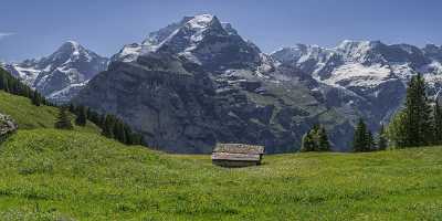 Almendhubel Muerren Eiger Moench Jungfrau Flower Snow Alps Modern Art Prints Stock Images - 021421 - 15-06-2017 - 21550x7419 Pixel Almendhubel Muerren Eiger Moench Jungfrau Flower Snow Alps Modern Art Prints Stock Images Fine Art Landscapes Stock Photos Fine Arts Country Road Photography...