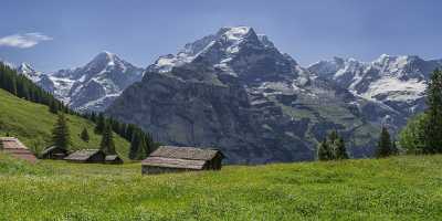 Almendhubel Muerren Eiger Moench Jungfrau Flower Snow Alps View Point Barn Fine Art Giclee Printing - 021422 - 15-06-2017 - 24291x7411 Pixel Almendhubel Muerren Eiger Moench Jungfrau Flower Snow Alps View Point Barn Fine Art Giclee Printing Art Prints Fine Art Landscapes Shore Outlook Order Stock...