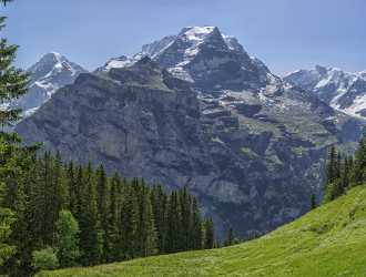 Almendhubel Muerren Eiger Moench Jungfrau Flower Snow Alps Photo Fine Art River - 021425 - 15-06-2017 - 12816x9710 Pixel Almendhubel Muerren Eiger Moench Jungfrau Flower Snow Alps Photo Fine Art River Fine Art Photography Park Fine Art Photos Fine Art Print City Art Prints Famous...