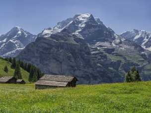 Muerren