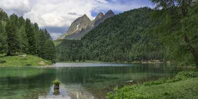 Albula Pass Palpouganasee Berguen Engadin Summer Forest Lake Nature Island Sale - 025082 - 21-06-2018 - 16544x7577 Pixel Albula Pass Palpouganasee Berguen Engadin Summer Forest Lake Nature Island Sale Fine Art Photography Fine Art Order Creek Fine Art Photography Galleries Art...