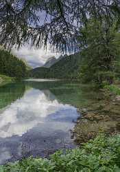 Albula Pass Palpouganasee Berguen Engadin Summer Forest Lake Royalty Free Stock Photos - 025085 - 21-06-2018 - 7579x10813 Pixel Albula Pass Palpouganasee Berguen Engadin Summer Forest Lake Royalty Free Stock Photos Fine Art Photography Prints For Sale Snow Mountain Leave Winter Fine Art...