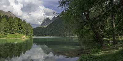 Albula Pass Palpouganasee Berguen Engadin Summer Forest Lake Fine Arts Photography Autumn - 025086 - 21-06-2018 - 17738x7376 Pixel Albula Pass Palpouganasee Berguen Engadin Summer Forest Lake Fine Arts Photography Autumn Photography Prints For Sale Panoramic Photo Stock Images What Is Fine...