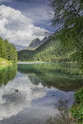 Albula Pass Palpouganasee Berguen Engadin Summer Forest Lake Fine Art Posters Fine Art Prints - 025087 - 21-06-2018 - 7674x14425 Pixel Albula Pass Palpouganasee Berguen Engadin Summer Forest Lake Fine Art Posters Fine Art Prints Fine Art Printer Fine Art Foto Animal Sale Fine Art Photographers...