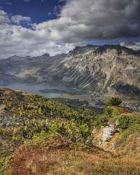 Furtschellas Sils Segl Engadin Lake Autumn Color Panorama Animal Fine Art Prints Cloud - 025380 - 10-10-2018 - 7672x9562 Pixel Furtschellas Sils Segl Engadin Lake Autumn Color Panorama Animal Fine Art Prints Cloud Fine Art Landscape Photography Grass Art Photography Gallery Fine Art...