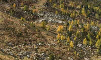 Furtschellas Sils Segl Engadin Lake Autumn Color Panorama Fine Art Prints For Sale Images - 025381 - 10-10-2018 - 13449x7991 Pixel Furtschellas Sils Segl Engadin Lake Autumn Color Panorama Fine Art Prints For Sale Images Fine Art Print Cloud River What Is Fine Art Photography Photo Fine Art...