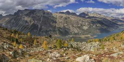 Furtschellas Sils Segl Engadin Lake Autumn Color Panorama Art Photography For Sale - 025386 - 10-10-2018 - 21338x7850 Pixel Furtschellas Sils Segl Engadin Lake Autumn Color Panorama Art Photography For Sale Fine Art Prints For Sale Barn Sale Stock Pictures Photo Fine Art Landscape...