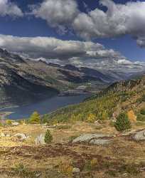 Furtschellas Sils Segl Engadin Lake Autumn Color Panorama Fine Art Photographers Fine Art - 025387 - 10-10-2018 - 7677x9412 Pixel Furtschellas Sils Segl Engadin Lake Autumn Color Panorama Fine Art Photographers Fine Art Fine Art Printing Fine Art Foto Sunshine Animal Royalty Free Stock...