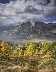 Furtschellas Sils Segl Engadin Lake Autumn Color Panorama Fine Art Landscape - 025391 - 10-10-2018 - 7601x9857 Pixel Furtschellas Sils Segl Engadin Lake Autumn Color Panorama Fine Art Landscape Art Photography For Sale Fine Art Photography Fine Art Landscape Photography Images...