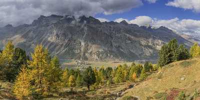 Furtschellas Sils Segl Engadin Lake Autumn Color Panorama Fine Art Printer Ice Images - 025392 - 10-10-2018 - 20111x7536 Pixel Furtschellas Sils Segl Engadin Lake Autumn Color Panorama Fine Art Printer Ice Images Famous Fine Art Photographers Photography Pass Fine Art Photography...