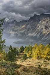 Furtschellas Sils Segl Engadin Lake Autumn Color Panorama Fine Art Photography Prints For Sale - 025393 - 10-10-2018 - 7603x12436 Pixel Furtschellas Sils Segl Engadin Lake Autumn Color Panorama Fine Art Photography Prints For Sale Fine Art Photography Fine Art Photos Mountain Stock Photos Modern...