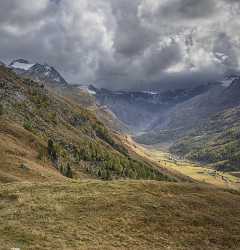 Furtschellas Sils Val Fex Engadin Lake Autumn Color Flower Coast Images Fine Art Photography - 025395 - 10-10-2018 - 7640x7954 Pixel Furtschellas Sils Val Fex Engadin Lake Autumn Color Flower Coast Images Fine Art Photography Image Stock Modern Wall Art Prints For Sale View Point Stock Image...