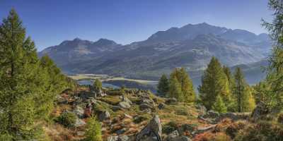 Grevasalvas Sils Silsersee Engadin Lake Autumn Color Panorama Fine Art Giclee Printing Flower - 025313 - 09-10-2018 - 15896x7384 Pixel Grevasalvas Sils Silsersee Engadin Lake Autumn Color Panorama Fine Art Giclee Printing Flower Fine Art Prints For Sale Fine Art Pictures Photo Royalty Free...