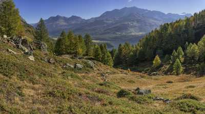 Grevasalvas Sils Silsersee Engadin Lake Autumn Color Panorama Photo Fine Art Landscapes - 025315 - 09-10-2018 - 12612x7037 Pixel Grevasalvas Sils Silsersee Engadin Lake Autumn Color Panorama Photo Fine Art Landscapes Fine Art Photo Fog Fine Art America Sale Flower Winter Photo Fine Art...