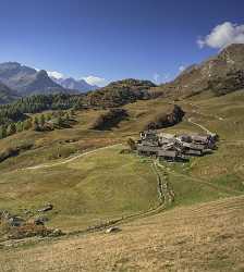 Grevasalvas Sils Silsersee Engadin Lake Autumn Color Panorama Coast Grass Fine Art Landscape - 025319 - 09-10-2018 - 7676x8549 Pixel Grevasalvas Sils Silsersee Engadin Lake Autumn Color Panorama Coast Grass Fine Art Landscape Art Prints For Sale Fine Art Fotografie Landscape Photography...