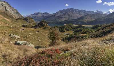 Grevasalvas Sils Silsersee Engadin Lake Autumn Color Panorama Town Fine Art Printing - 025328 - 09-10-2018 - 12408x7233 Pixel Grevasalvas Sils Silsersee Engadin Lake Autumn Color Panorama Town Fine Art Printing Fine Art America Fine Art Pictures Fine Art Landscape River Fine Art...