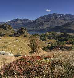 Grevasalvas Sils Silsersee Engadin Lake Autumn Color Panorama Stock Images Landscape Photography - 025329 - 09-10-2018 - 7372x7663 Pixel Grevasalvas Sils Silsersee Engadin Lake Autumn Color Panorama Stock Images Landscape Photography Fine Art Photo Modern Art Prints Flower Shore Ice Leave Fine...