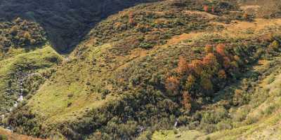 Oberalppass Autumn Color Brown Grass Panorama Viewpoint Red Fine Art Photo Fog Fine Art Printing - 025300 - 08-10-2018 - 17294x8095 Pixel Oberalppass Autumn Color Brown Grass Panorama Viewpoint Red Fine Art Photo Fog Fine Art Printing Coast Island Fine Art Giclee Printing Shore Fine Art Prints For...