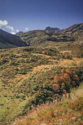 Oberalppass Autumn Color Brown Grass Panorama Viewpoint Red Order Prints For Sale - 025303 - 08-10-2018 - 7739x14569 Pixel Oberalppass Autumn Color Brown Grass Panorama Viewpoint Red Order Prints For Sale Royalty Free Stock Photos Animal Fine Arts Photography Coast Snow Sea Leave Hi...