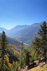 Ofenpass Berge Bach Herbst Farben Wald Blau Cloud Images Fine Art Fine Arts Creek Autumn Grass Sea - 002429 - 13-10-2007 - 4230x6680 Pixel Ofenpass Berge Bach Herbst Farben Wald Blau Cloud Images Fine Art Fine Arts Creek Autumn Grass Sea Fine Art Pictures Photo Fine Art Fine Art Photographers Fine...