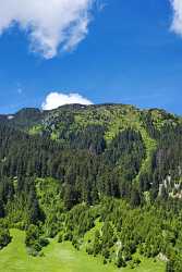 Parde Am Lukmanierpass Surselva Mountain Autumn Fine Art Posters Art Photography Gallery - 003175 - 12-06-2008 - 4192x7888 Pixel Parde Am Lukmanierpass Surselva Mountain Autumn Fine Art Posters Art Photography Gallery Fine Art Photos Fine Art Landscape Leave Art Printing Western Art...