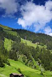 Parde Am Lukmanierpass Surselva Summer Famous Fine Art Photographers Animal Modern Wall Art Grass - 003179 - 12-06-2008 - 4211x8558 Pixel Parde Am Lukmanierpass Surselva Summer Famous Fine Art Photographers Animal Modern Wall Art Grass Fine Art Photography For Sale Fine Arts Photography Fine Art...