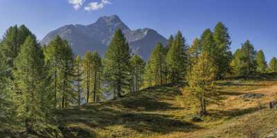 Sils Segl Engadin Silsersee Lake Autumn Color Panorama Modern Wall Art Creek Fine Art Prints Prints - 025360 - 09-10-2018 - 16265x7577 Pixel Sils Segl Engadin Silsersee Lake Autumn Color Panorama Modern Wall Art Creek Fine Art Prints Prints Landscape Photography Fine Art Giclee Printing Art Printing...