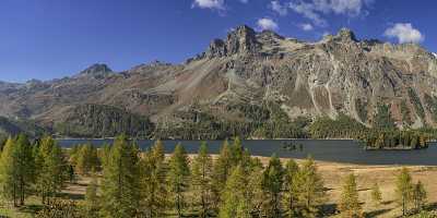 Sils Segl Engadin Silsersee Lake Autumn Color Panorama Fine Art Photography Gallery Fine Art - 025362 - 09-10-2018 - 22547x7785 Pixel Sils Segl Engadin Silsersee Lake Autumn Color Panorama Fine Art Photography Gallery Fine Art Fine Art Printing Fine Art Fotografie Fine Art Landscape...