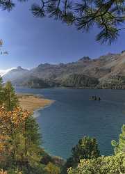 Sils Segl Engadin Silsersee Lake Autumn Color Panorama Royalty Free Stock Photos Animal Order Rain - 025367 - 09-10-2018 - 7415x10318 Pixel Sils Segl Engadin Silsersee Lake Autumn Color Panorama Royalty Free Stock Photos Animal Order Rain Island Sunshine Landscape Photography Fine Art Photography...