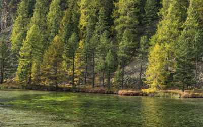 Silvaplana Engadin Pond Lake Autumn Color Panorama Viewpoint Grass Art Prints For Sale Coast - 025306 - 08-10-2018 - 12582x7868 Pixel Silvaplana Engadin Pond Lake Autumn Color Panorama Viewpoint Grass Art Prints For Sale Coast Modern Art Prints Fine Art Landscapes Fine Art Photography For Sale...