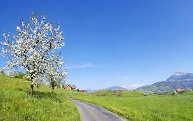 Udligenswil Golfplatz Art Photography For Sale Fine Art Giclee Printing Country Road - 000979 - 16-04-2007 - 6516x4110 Pixel Udligenswil Golfplatz Art Photography For Sale Fine Art Giclee Printing Country Road Fine Art Fotografie Island Royalty Free Stock Images Photography Prints For...