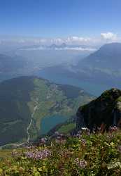 Niederbauen Nidwalden Seelisberg Mythen Schwyz Panorama Alpen Sommer Fine Art Giclee Printing - 011316 - 11-08-2012 - 6935x10048 Pixel Niederbauen Nidwalden Seelisberg Mythen Schwyz Panorama Alpen Sommer Fine Art Giclee Printing Landscape Photography Spring Stock Cloud Fine Art Photography...