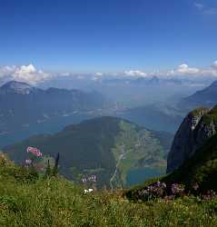 Niederbauen Nidwalden Seelisberg Mythen Schwyz Panorama Alpen Sommer Leave Winter - 011332 - 11-08-2012 - 6812x7131 Pixel Niederbauen Nidwalden Seelisberg Mythen Schwyz Panorama Alpen Sommer Leave Winter Fine Art Photographer Tree Fine Art Photography Gallery Fine Art Foto Pass...