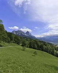 Schwyz Mythen Chapf Panorama Alpen Sommer Blumen Berge Fine Art Photography For Sale - 011260 - 13-07-2012 - 7008x8711 Pixel Schwyz Mythen Chapf Panorama Alpen Sommer Blumen Berge Fine Art Photography For Sale Fine Art Landscape Photo Flower Rain Stock Photos Mountain Landscape...