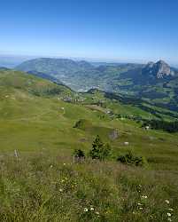 Stoos Mythen Schwyz Panorama Alpen Sommer Blumen Berge Art Photography For Sale Shoreline Rock - 011289 - 01-08-2012 - 7098x8813 Pixel Stoos Mythen Schwyz Panorama Alpen Sommer Blumen Berge Art Photography For Sale Shoreline Rock Art Photography Gallery Stock Image Fine Art Photo Fine Art...