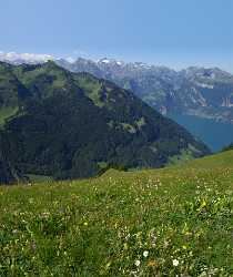 Stoos Fronalp Vierwaldstaettersee Panorama Urner Alpen Sommer Blumen Landscape Sunshine Snow Color - 011292 - 01-08-2012 - 7077x8439 Pixel Stoos Fronalp Vierwaldstaettersee Panorama Urner Alpen Sommer Blumen Landscape Sunshine Snow Color Sky Fine Art Printing Modern Art Print Fine Art Photography...