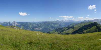 Stoos Mythen Schwyz Panorama Alpen Sommer Blumen Berge Summer Stock Image Photography Sunshine - 011303 - 01-08-2012 - 20537x6913 Pixel Stoos Mythen Schwyz Panorama Alpen Sommer Blumen Berge Summer Stock Image Photography Sunshine Fine Art Color Country Road Sale Fine Art Prints For Sale Park...