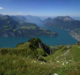 Stoos Fronalp Vierwaldstaettersee Panorama Urner Alpen Sommer Blumen Fine Art Fotografie - 011305 - 01-08-2012 - 6816x6413 Pixel Stoos Fronalp Vierwaldstaettersee Panorama Urner Alpen Sommer Blumen Fine Art Fotografie Fine Art Photography For Sale Fine Art Posters Park Senic Fine Art...