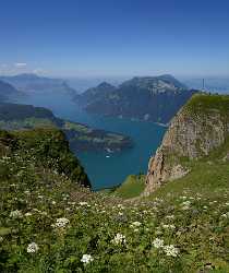 Stoos Fronalp Vierwaldstaettersee Panorama Urner Alpen Sommer Blumen Fine Art Photographer - 011307 - 01-08-2012 - 6943x8272 Pixel Stoos Fronalp Vierwaldstaettersee Panorama Urner Alpen Sommer Blumen Fine Art Photographer Fine Art Nature Photography Fine Art Printing Shoreline Prints...