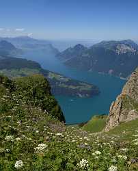 Stoos Fronalp Vierwaldstaettersee Panorama Urner Alpen Sommer Blumen Hi Resolution Landscape Fog - 011308 - 01-08-2012 - 6853x8497 Pixel Stoos Fronalp Vierwaldstaettersee Panorama Urner Alpen Sommer Blumen Hi Resolution Landscape Fog Senic Fine Art Landscape Beach Fine Art Photography For Sale...