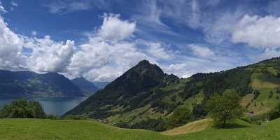 Gersauerberg Beckenried Vierwaldstaettersee Sommer Blumen Wiese Wolken Panorama Mountain - 005439 - 07-06-2009 - 12383x4065 Pixel Gersauerberg Beckenried Vierwaldstaettersee Sommer Blumen Wiese Wolken Panorama Mountain Modern Art Prints Tree Fine Art Photography Prints View Point Sunshine...