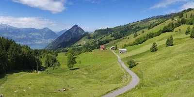 Gersauerberg Gaetterlipass Vierwaldstaettersee Beckenried Sommer Blumen Wiese Wolken Stock Images - 005463 - 13-06-2009 - 11367x4076 Pixel Gersauerberg Gaetterlipass Vierwaldstaettersee Beckenried Sommer Blumen Wiese Wolken Stock Images Art Prints Fine Art Photographers Shoreline Art Prints For...