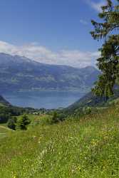 Gersauerberg Gaetterlipass Vierwaldstaettersee Beckenried Sommer Blumen Wiese Wolken View Point - 005475 - 13-06-2009 - 4157x8688 Pixel Gersauerberg Gaetterlipass Vierwaldstaettersee Beckenried Sommer Blumen Wiese Wolken View Point Fine Art Nature Photography Fine Art Posters Snow Fine Art...