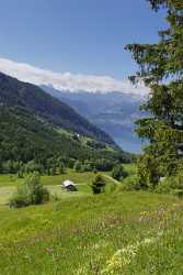 Gersauerberg Gaetterlipass Vierwaldstaettersee Kuh Sommer Blumen Wiese Wolken Fine Art Photography - 005477 - 13-06-2009 - 4241x9440 Pixel Gersauerberg Gaetterlipass Vierwaldstaettersee Kuh Sommer Blumen Wiese Wolken Fine Art Photography Order Fine Art Prints Barn Flower City Fine Art Landscape...