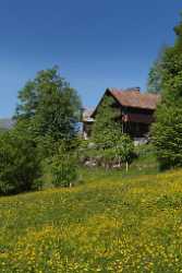 Ilgau Bauernhaus Sommerwiese Blumen Country Road Spring Color Stock Photos Landscape - 004925 - 17-05-2009 - 4001x11296 Pixel Ilgau Bauernhaus Sommerwiese Blumen Country Road Spring Color Stock Photos Landscape Art Prints For Sale Stock Rock Beach Grass Famous Fine Art Photographers...