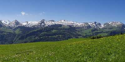 Ilgau Sankt Karl Stoos Fronalp Sommerwiese Blumen Mountain Prints For Sale Art Photography For Sale - 004931 - 17-05-2009 - 12535x3848 Pixel Ilgau Sankt Karl Stoos Fronalp Sommerwiese Blumen Mountain Prints For Sale Art Photography For Sale Fine Art Photographer Fine Art Photo Photography Prints For...