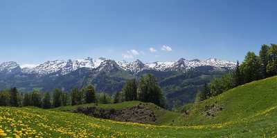 Ilgau Sankt Karl Muotathal Alpen Sommerwiese Blumen Fine Art Landscape Fine Art Foto Outlook Tree - 004947 - 17-05-2009 - 13728x4030 Pixel Ilgau Sankt Karl Muotathal Alpen Sommerwiese Blumen Fine Art Landscape Fine Art Foto Outlook Tree Leave Town Fog Beach Senic Art Photography For Sale River...