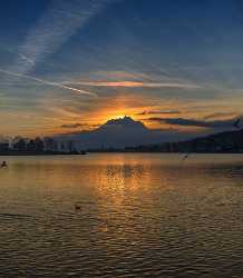 Kuessnacht Schwyz Vierwaldstaettersee Pilatus Winter Tree Lake Mountain Landscape Photography - 014159 - 30-12-2013 - 7058x8112 Pixel Kuessnacht Schwyz Vierwaldstaettersee Pilatus Winter Tree Lake Mountain Landscape Photography Fine Art Photographer Park Autumn Fine Art Photography For Sale...