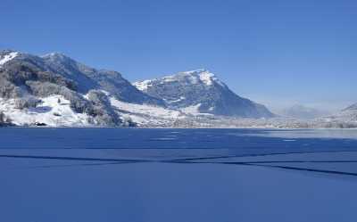 Lauerz Lauerzersee Eis Rigi Insel Schwanau Winter Landschaft Stock Image Stock Photos Stock - 013086 - 10-02-2013 - 16381x10188 Pixel Lauerz Lauerzersee Eis Rigi Insel Schwanau Winter Landschaft Stock Image Stock Photos Stock Stock Images Order Art Photography For Sale Grass Fine Art...